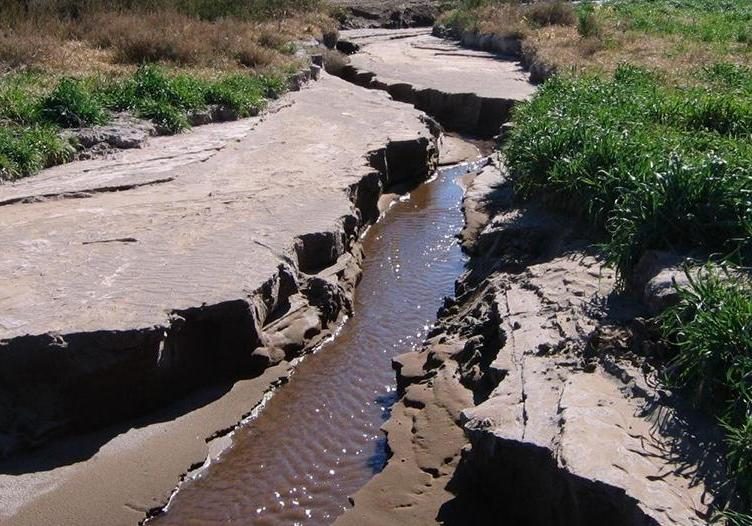 Cárcava activa en una vega, con agua en el fondo y paredes que se desmoronan.